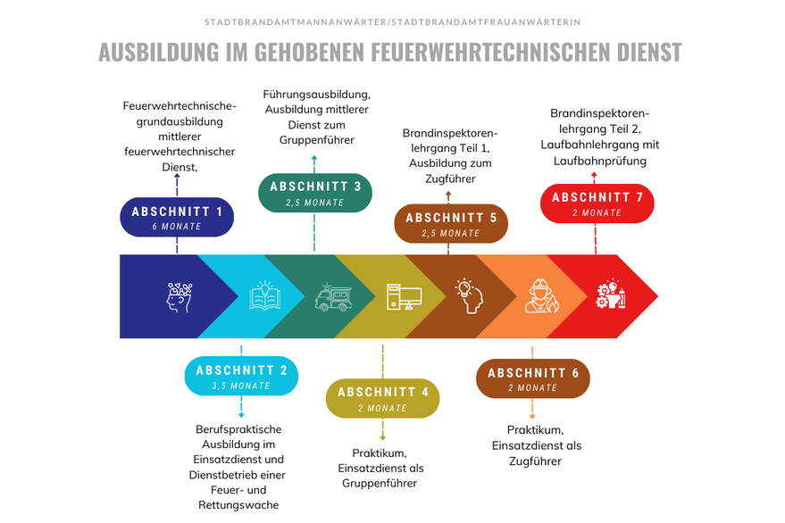 Grafik zur Ausbildung