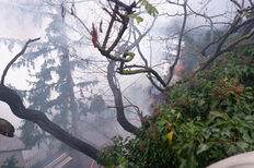 Brand einer Gartenhütte