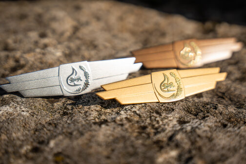 Abnahme Feuerwehr-Leistungsabzeichen in Stuttgart-Stammheim